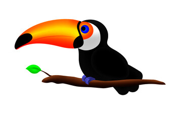 toucan on a branch