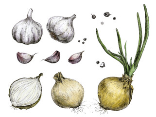 hand drawing onion, garlic, pepper for the design of the kitchen cafe restaurant menu