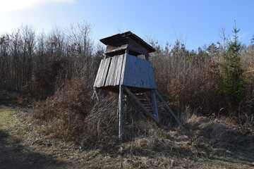 old wooden house in forest