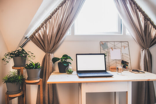 The modern workplace - wooden desk with laptop mockup white empty screen, mood board with pined notes and photo, green plants at work space under a window in home office room interior. Selective focus