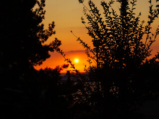 View through the branches of trees at the sun setting over the sea with a ship