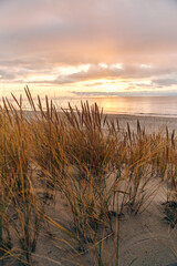 Tall dunes with dune grass and a wide beach below. The shore of the baltic sea. Sunset on the beach in Yantarniy