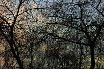 Nature is wonderful, it depends on how we look at it.