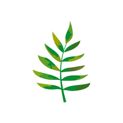 rowan leaves icon, colorful design