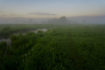 Naklejka premium misty morning in the field