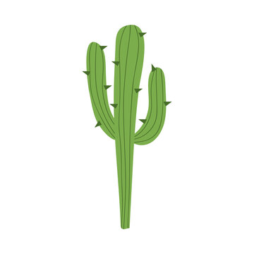 green cactus icon, colorful design