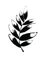Olive leaves black and white sketch. Hand drawn olive branch isolated on white background.