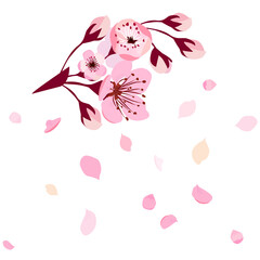 A branch of sakura with falling petals. Vector illustration © Мария Неноглядова