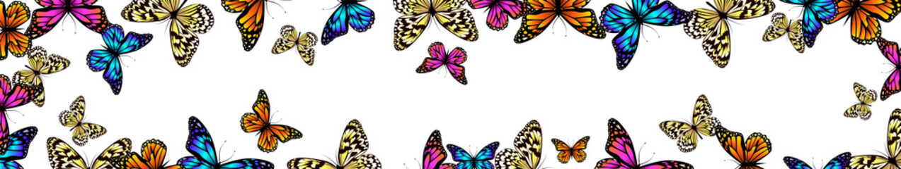 A long horizontal frame with butterflies. site header. Vector illustration