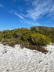 landscape with blue sky at Henderson Beach State Park Florida 