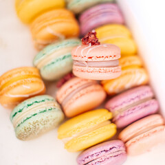 Multicolored macaroon