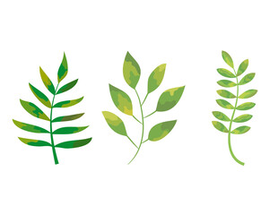 stem with leaves icon set, colorful design