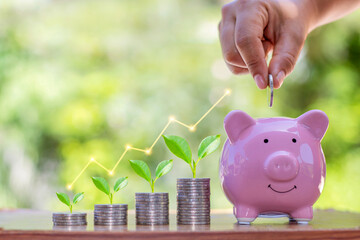 Planting seedlings on a pile of coins and a graph showing financial growth, investment concepts and business growth.