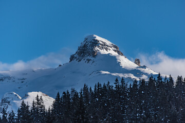 Wolfendorn a Brenner
