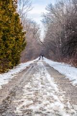 Obraz premium The canadian forest in winter
