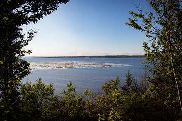 Fototapeta na wymiar Edge of Forest Looking out to Orwell Bay in Prince Edward Island