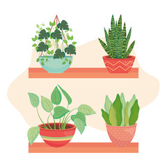 shelves with house plants, colorful design