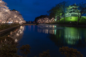 Fototapeta na wymiar 上越市 高田公園の夜桜