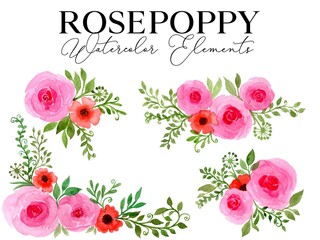 Rose Flower Watercolour Elements Vector