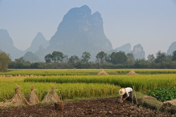 Farmers work in their rice fields amid the stunning karst landscape of Guangxi Province, China.