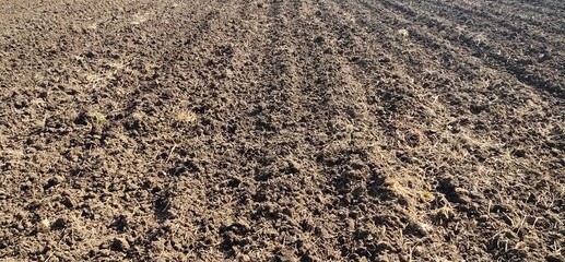 Raising the soil, preparing for planting