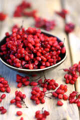 Fresh barberry in a bowl. Red berries of barberry.