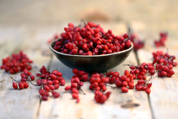 Fresh barberry in a bowl. Red berries of barberry.