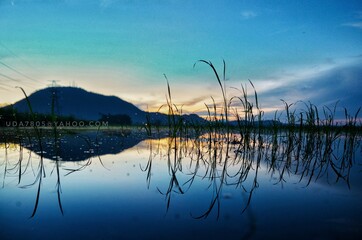 Beach, ocean, boats and nature