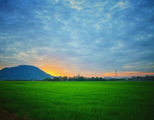 Beach, ocean, boats and nature