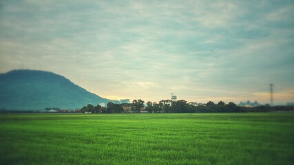 Beach, ocean, boats and nature