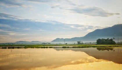 Beach, ocean, boats and nature