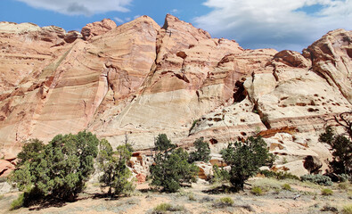 Golden sandstone geographical formations with a desert prairie landscape on a hot summer day at the Cohan Canyon Trail in Capitol Reef National Park Southern Utah.