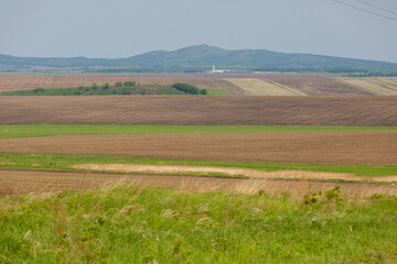 Fototapeta na wymiar Russian agricultural field. Beautiful sown fields among the green hills in Russia.