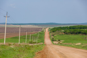 Fototapeta premium Russian agricultural field. A scenic dirt road passes by agricultural sown fields in Russia.