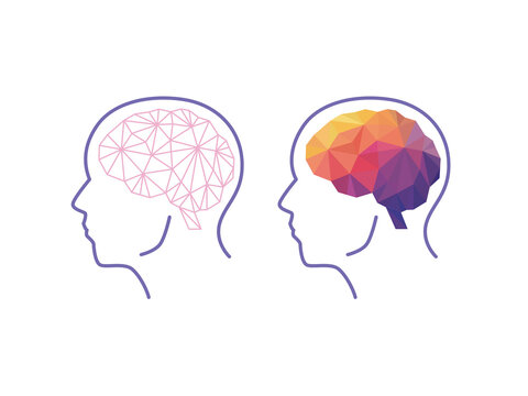 人体・脳科学のイメージ