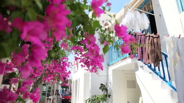 エーゲ海ギリシャ