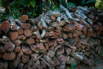 cut pieces of firewood ready to be used