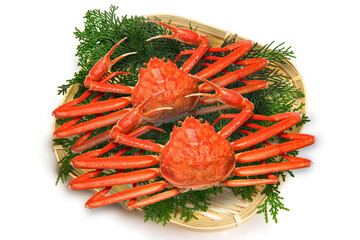 生のズワイガニ