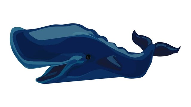 Blue whale icon animation best on white background for any design