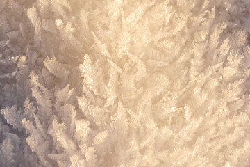 Macro shot of snow in the winter sun