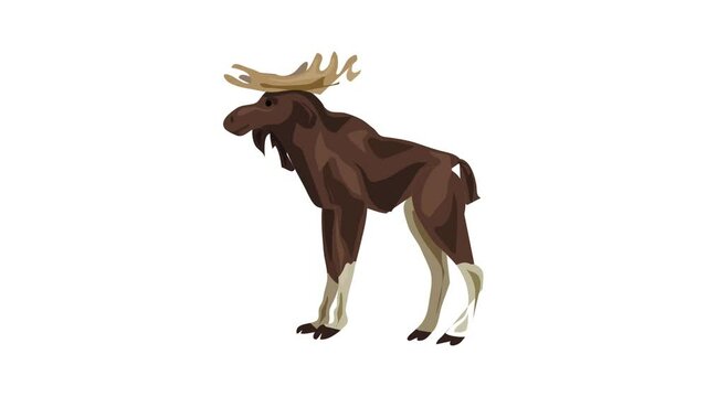 Canadian deer icon animation best on white background for any design