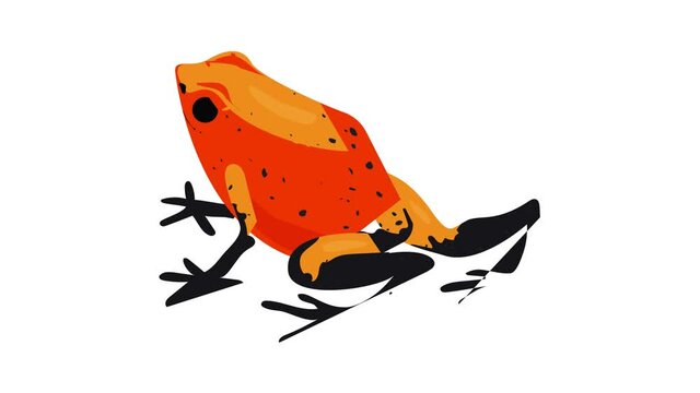 Red frog icon animation best on white background for any design