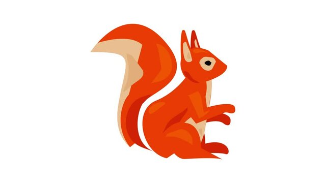 Squirrel icon animation best on white background for any design