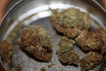 Cannabis super lemon haze medical weed macro background fifty megapixels high quality prints