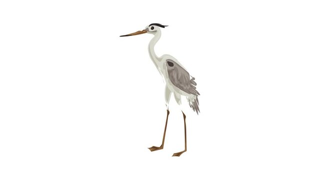 Grey heron icon animation best on white background for any design