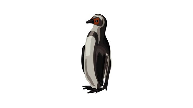 Penguin icon animation best on white background for any design