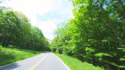 Point of view pov handheld front view of car driving on Shenandoah Skyline Drive winding road by park mountain forest in summer with green foliage trees