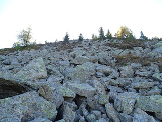 Zirbenweg am Patscherkofel oberhalb von Innsbruck Sistrans Lans Patsch gegenüber dem Karwendel Gebirge
