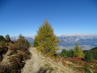 Fototapeta na wymiar Zirbenweg am Patscherkofel oberhalb von Innsbruck Sistrans Lans Patsch gegenüber dem Karwendel Gebirge