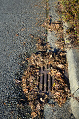 Storm drain surrounded by dead leaves, not ready for winter storms, residential street and curb
